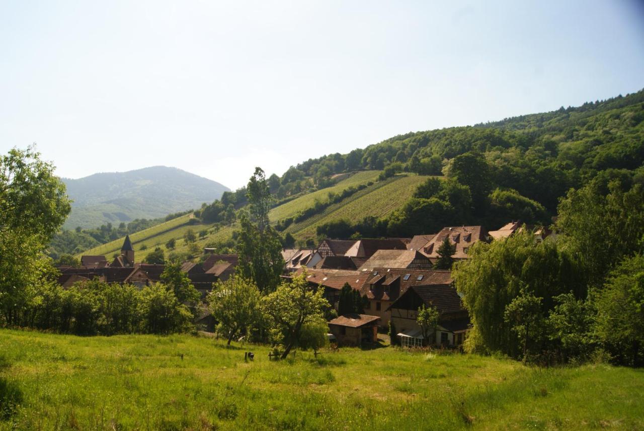 Gite Du Thalala Bernardvillé Exteriér fotografie